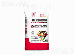 �������20-20-0-�����ʘI(y��)