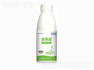 ���w��-����¶-������