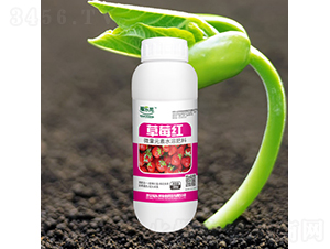 ΢��Ԫ��ˮ�ܷ���-��ݮ�t-������