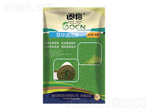 ��ƺ�ٳɾ�-����