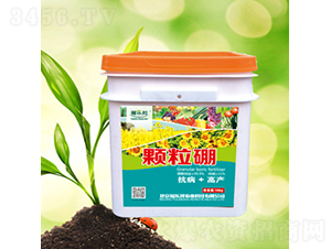 �w����-������