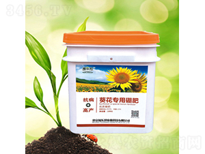 �����������-������