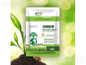 �ָ����-������