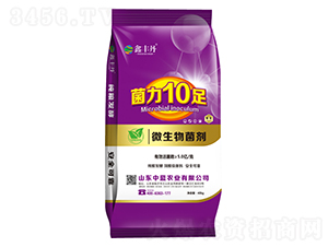 ΢�������-���S��-���{(l��n)�r(n��ng)�I(y��)