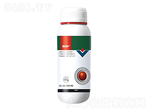 40%�پ���-�ΰ��o(h��) 