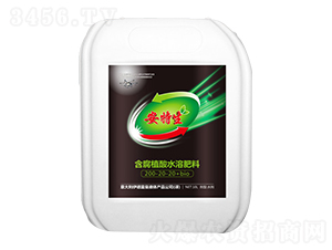 ����ֲ��ˮ�ܷ���-������-�Ѹ�