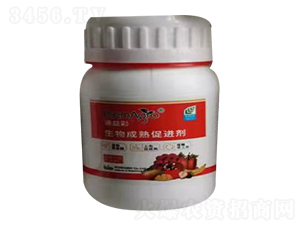 ��������������M��-�Ѹ�