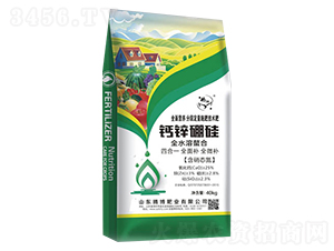 �}�\���-�v���ʘI(y��)