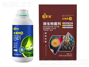 ������A+B-����-����������