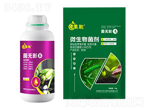 ���oӰA+B-����-����������