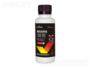 ��ɫ�I(y��ng)�B(y��ng)Һ-���׿��r(n��ng)�I(y��)