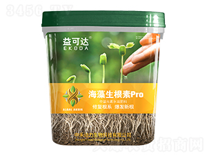 ����������pro-����_(d��)-�к̄�(d��ng)��