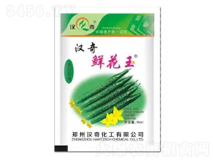 �h���r����-�h�滯��