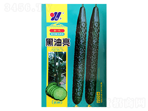 ������-�S�ϷN��-��Դ�r(n��ng)�I(y��)