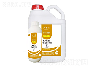 �Ǵ������}-������-�P������