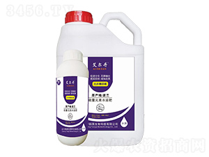 ���w�Ǵ���-������-�P������