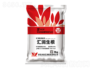 �R�������VԴ�S�����-�Ј�R��