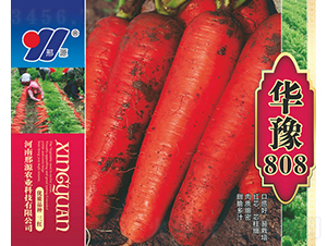 �Aԥ808-�t�}���N��-��Դ�r(n��ng)�I(y��)