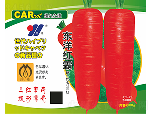 �|��t��-�}���N��-��Դ�r(n��ng)�I(y��)