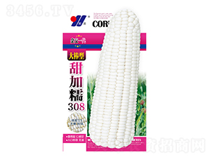 ���Ŵ308-���׷N��-��Դ�r(n��ng)�I(y��)