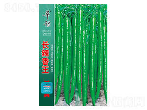 �L������-�����N��-��Դ�r(n��ng)�I(y��)