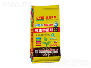 ΢�������-���ߘ���-������