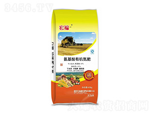 �������ЙC(j��)����-�긣-�ӱ���