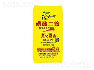 ������@15-42-0-�����μ�-�󻯷ʘI(y��)