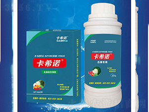 �Ϲ����-��ϣ�Z