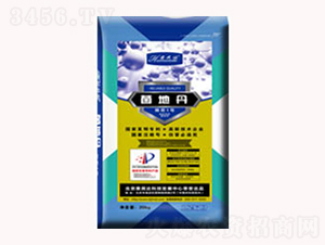 ���ص�-����1̖(h��o)-�����_(d��)