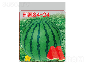 ��Դ84-24-���ϷN��-��Դ�r(n��ng)�I(y��)