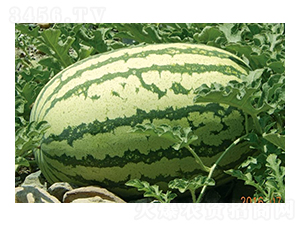 �p�tȿ�����-���ϷN��-��Դ�r(n��ng)�I(y��)