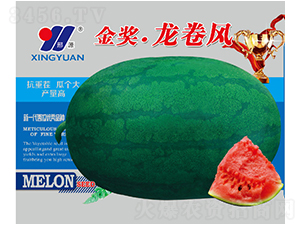 ��(ji��ng)�����L(f��ng)-���ϷN��-��Դ�r(n��ng)�I(y��)