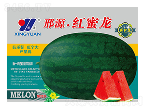 �t����-���ϷN��-��Դ�r(n��ng)�I(y��)