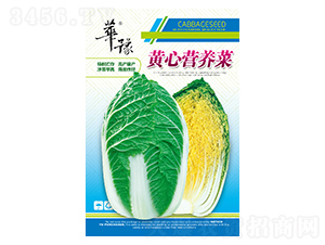 �S�ĠI(y��ng)�B(y��ng)��-�ײ˷N��-��Դ�r(n��ng)�I(y��)