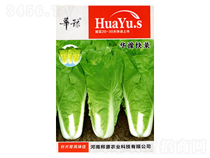 �Aԥ���-�ײ˷N��-��Դ�r(n��ng)�I(y��)