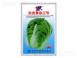 �������s��̖-�ײ˷N��-��Դ�r(n��ng)�I(y��)