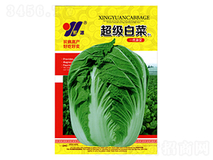 �����ײ�-�ײ˷N��-��Դ�r(n��ng)�I(y��)