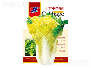 ����С�s56-�ײ˷N��-��Դ�r(n��ng)�I(y��)