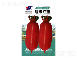 �����t��-���}���N��-��Դ�r(n��ng)�I(y��)