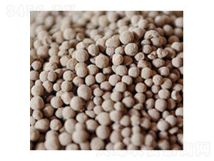 �����V��-�R�񻯹�