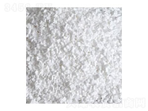 ������V-�R�񻯹�