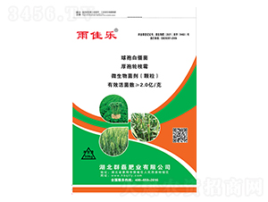 ΢�������-��ј�-�\��ʘI(y��)