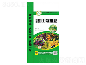 ��ü��(r��n)���ЙC(j��)��-�@���r(n��ng)�I(y��)