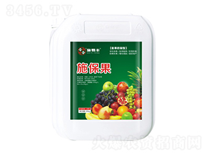 ���������-ʩ����-ʩ���S