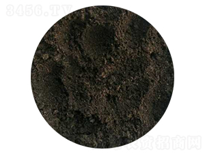 �l(f��)�ͼ���S�ЙC(j��)��-����r(n��ng)�I(y��)