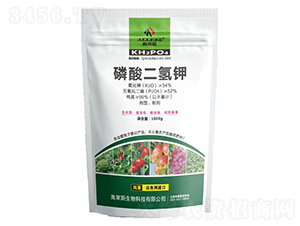 1000g��������-�W�R˹