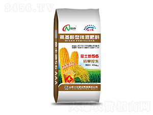 �������-������56-�󻯷ʘI(y��)