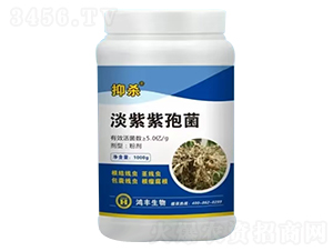 �������߾�-�֚�-���S����