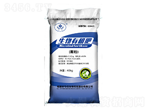 �����ЙC(j��)�ʣ��w����-���c������